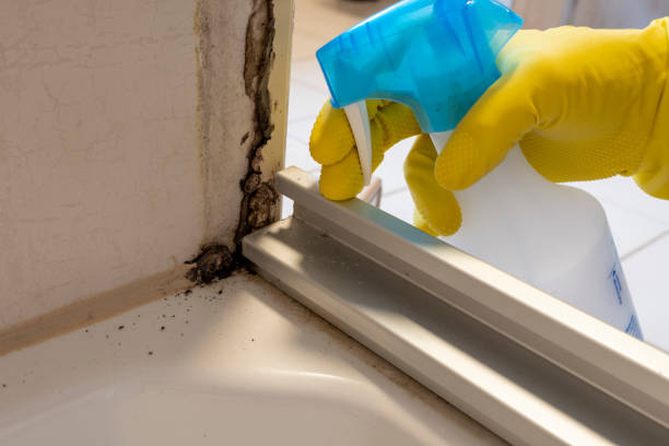 Best Real Estate Mold Inspection  in USA